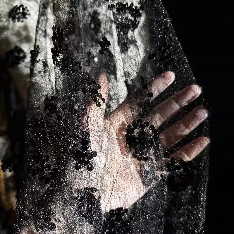 Lace Flower Embroidery Sequine - Embroidery Gradient 评论和价格