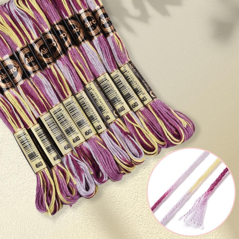 6 Strands Purple Variegated Em - Embroidery Threads 评论和价格